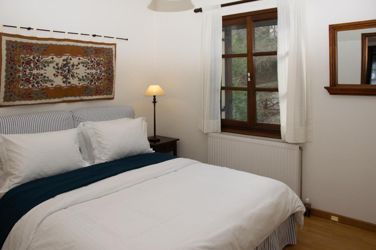Θαλλώ Luxurious Villa Tsagarada Esterno foto