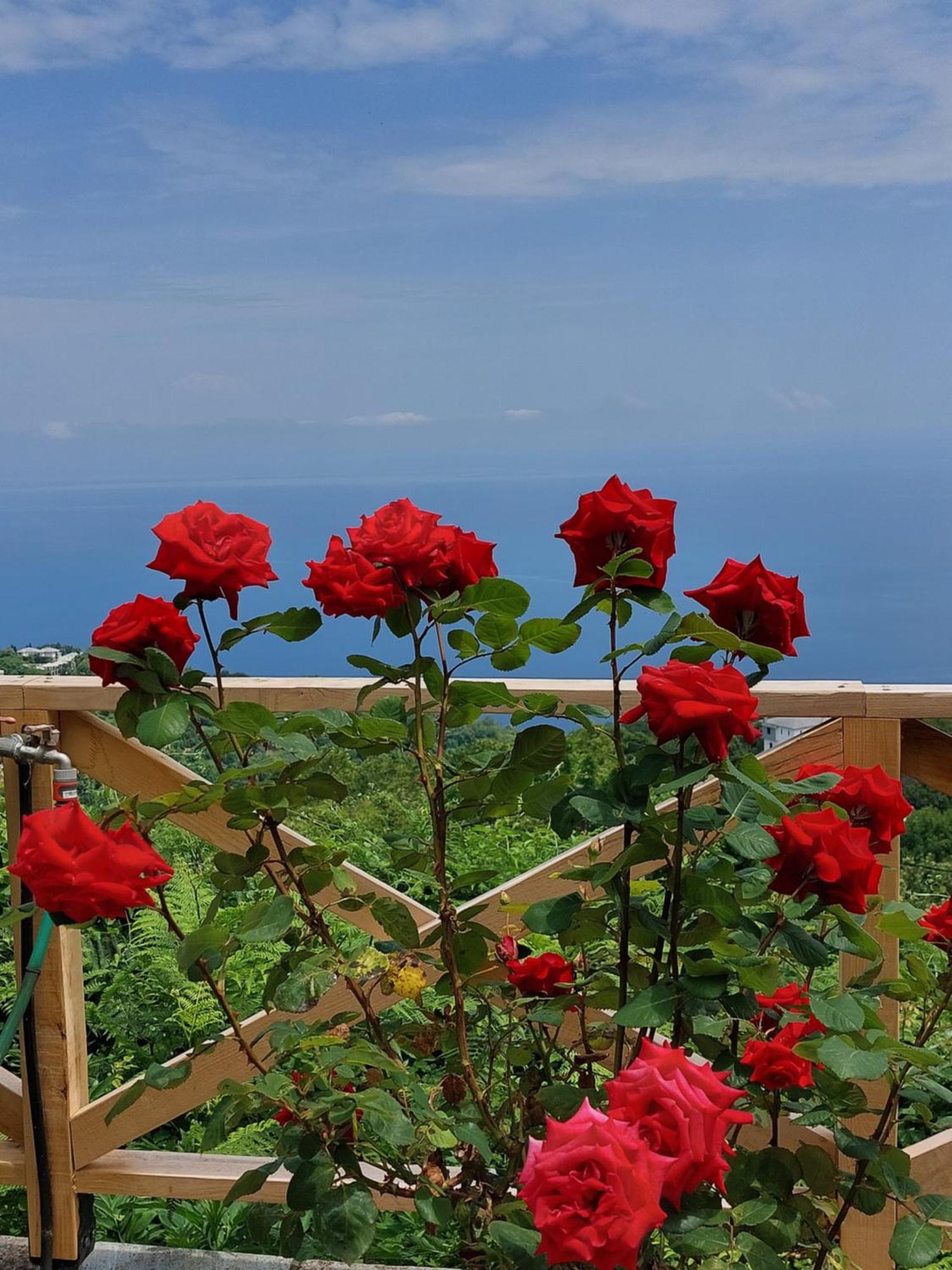 Θαλλώ Luxurious Villa Tsagarada Esterno foto