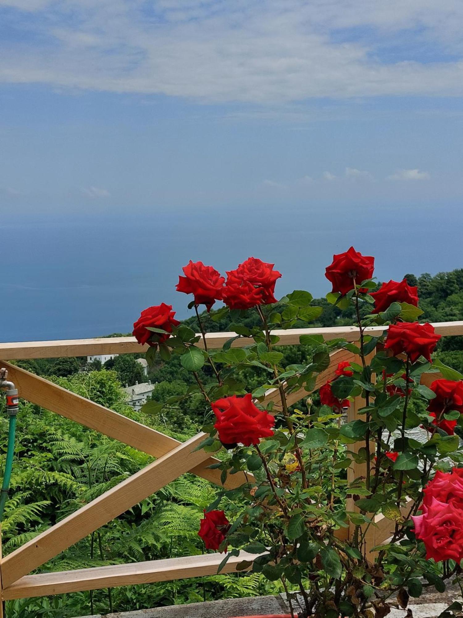 Θαλλώ Luxurious Villa Tsagarada Camera foto