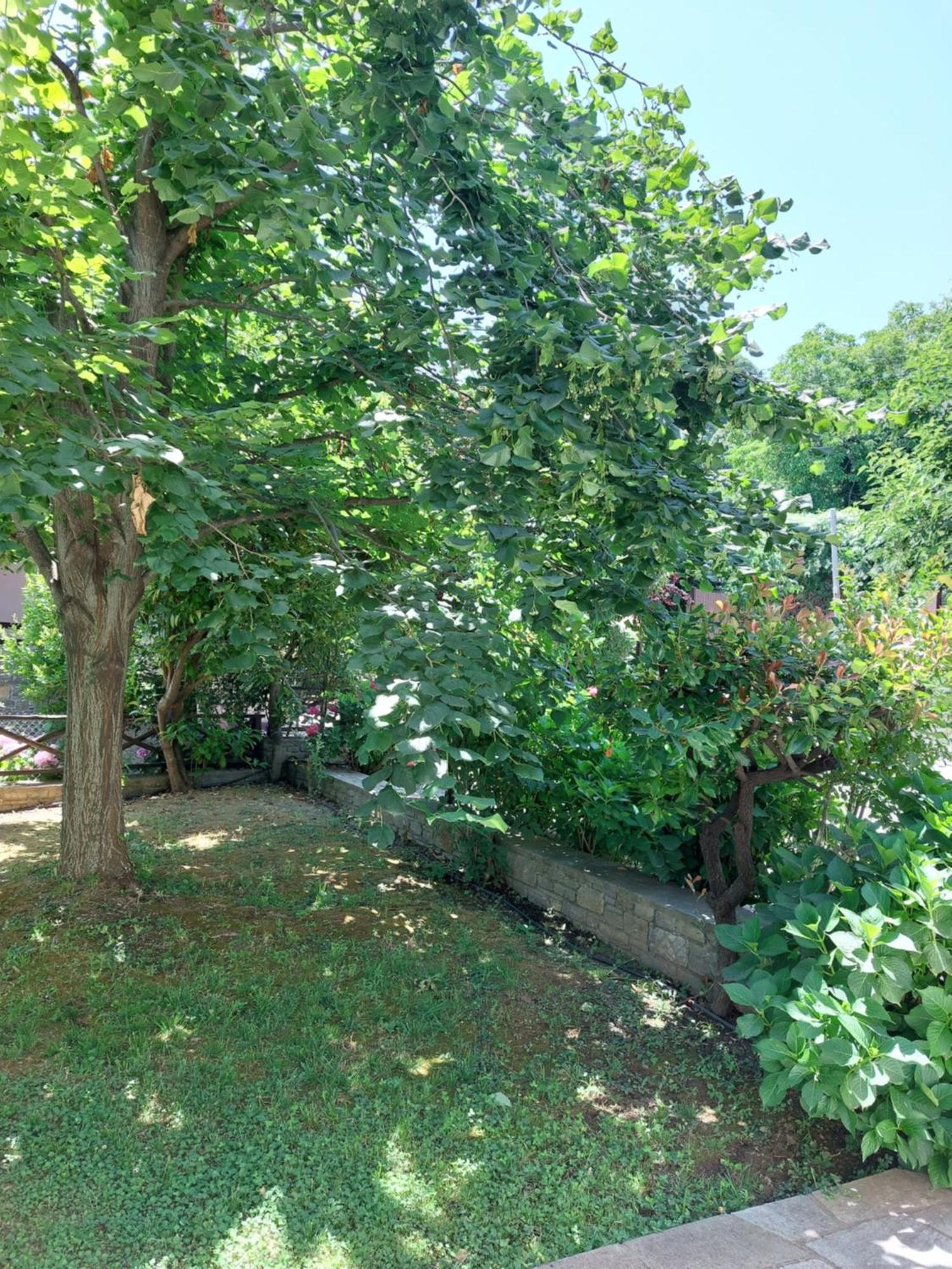 Θαλλώ Luxurious Villa Tsagarada Esterno foto