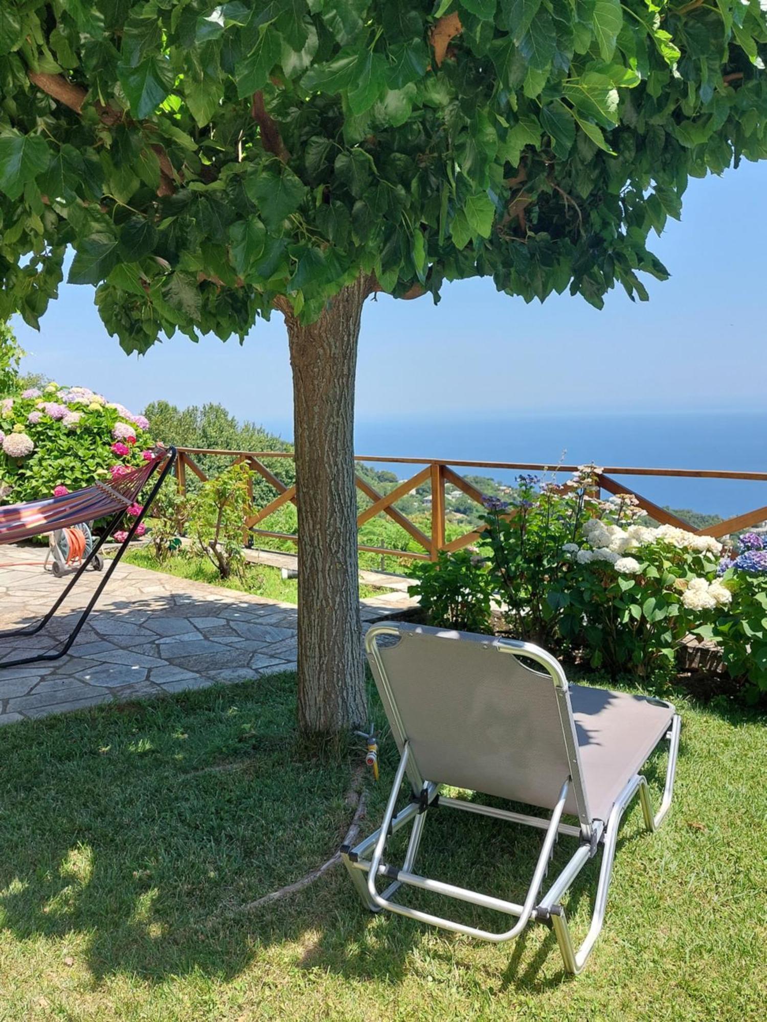 Θαλλώ Luxurious Villa Tsagarada Camera foto