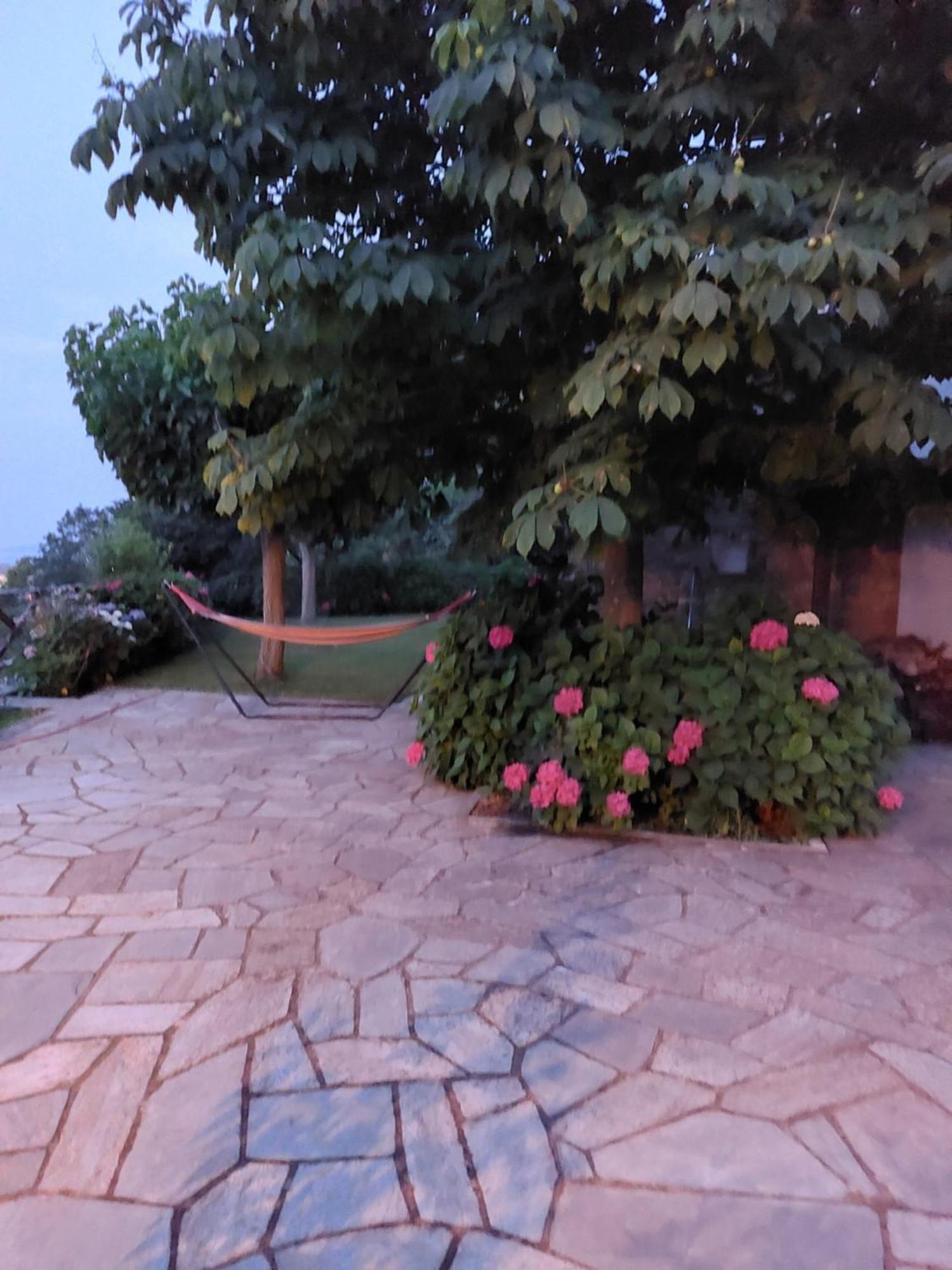 Θαλλώ Luxurious Villa Tsagarada Esterno foto